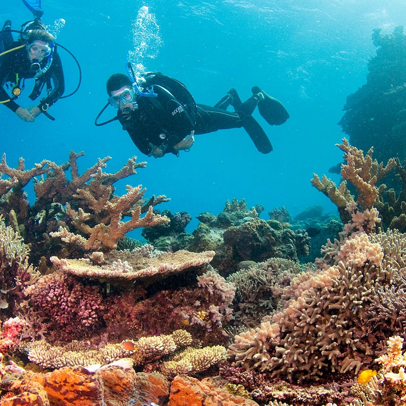 Australian Adventure Vacation: Rock and Reef