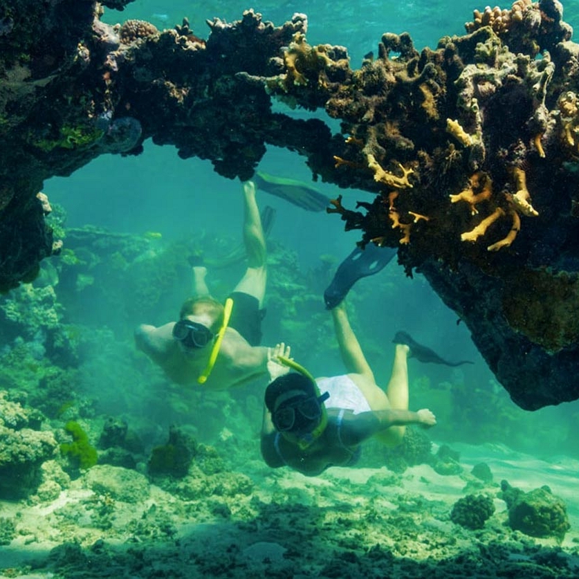 Couple snorkeling under an archway of corals in the Great Barrier Reef