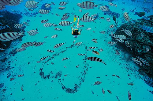 Woman Snorkeling with Tropical Fish in French Polynesia
