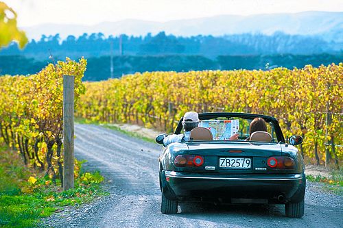 New Zealand Wine Vacations: Unique Food and Wine