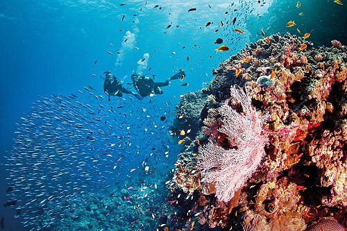 Australia Vacations - Great Barrier Reef