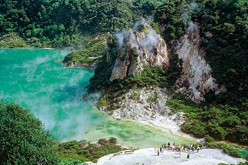 New Zealand Adventure - Penguins, Fiordlands, Wilderness - Cathedral Cove Rotorua