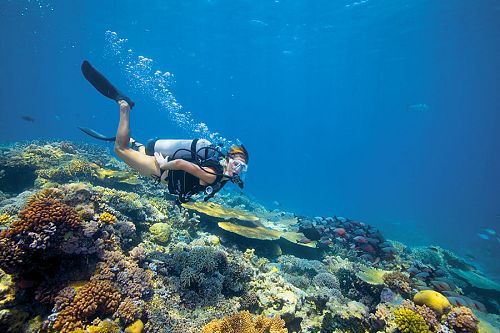 Australia Trip Packages - Great Barrier Reef - Lizard Island Luxury Resort