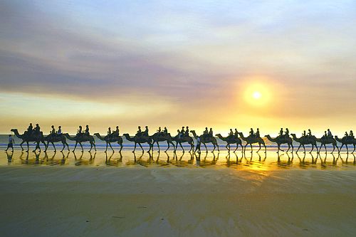 Camel Ride on Cable Beach at Sunset