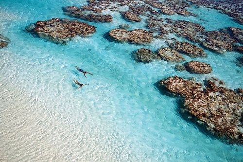 Couple Swimming in Coral Reef at The Brando Resort - Australia, New Zealand, and Tahiti