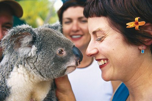 Australia Wildlife, Reef, Outback Vacations