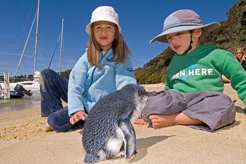 Two kids by a little blue penguin - Tourism New Zealand - New Zealand Wildlife Travel