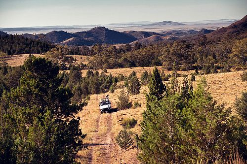 Australia Wildlife Vacations - Arkaba Station