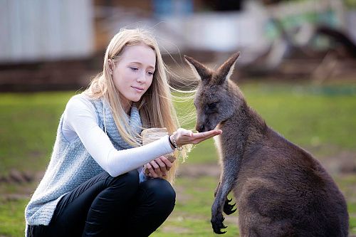 Australia Wildlife Vacations - Bonorong Wildlife Sanctuary Tasmania