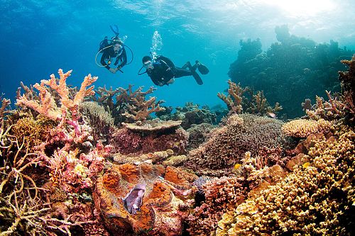 Diving the Great Barrier Reef - Family Trip to Australia - Great Barrier Reef Vacation