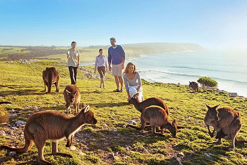 Wildlife Adventure Australia - Kangaroo Island Vacations