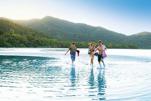 Cape Tribulation Beach, Queensland - Australia Reef, Rainforest, and Brisbane Explorer Package