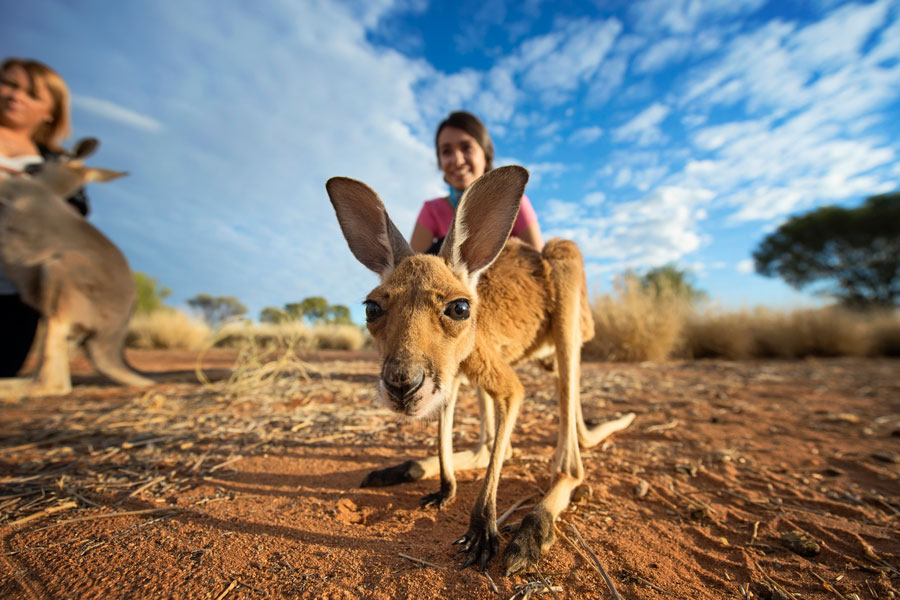 Guide to Australia's Northern Territory - Down Under Endeavours