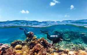 Scuba diving in Agincourt Reef