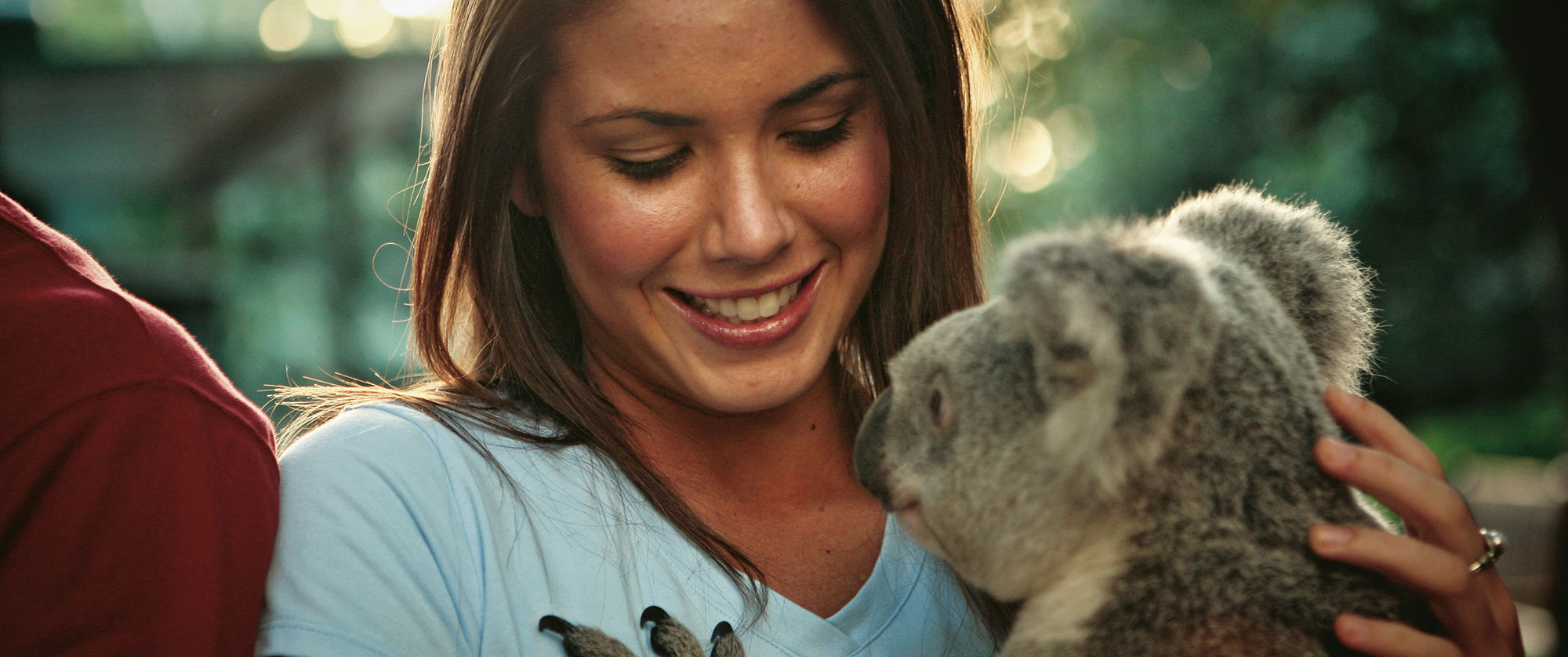 Australia Family Vacation Packages: Beaches and Wildlife