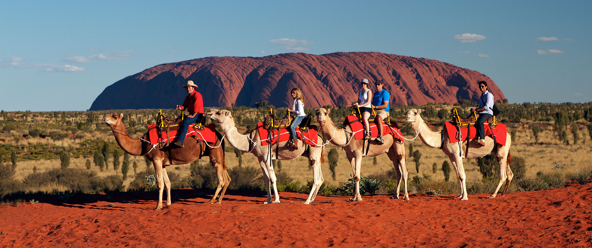 australian safari tours