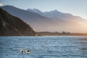 View of mountains along the coast of Kaikoura, New Zealand, with two dolphins jumping out of the water