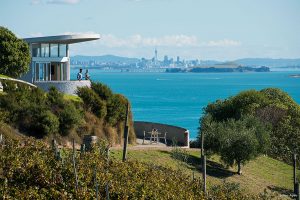 Wine Tasting on Waiheke Island - Book Your Trip to New Zealand - New Zealand Travel Agency