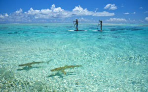 Paddleboarding Off Tikehau Atoll