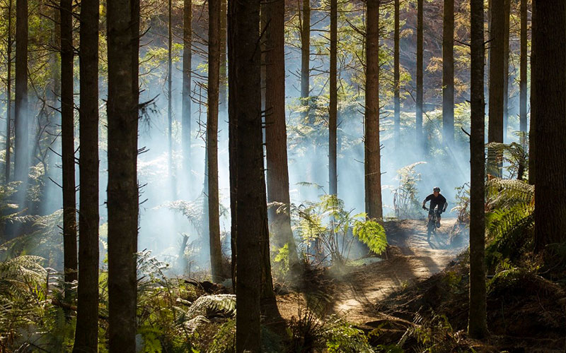 Mountain Biking in Rotorua