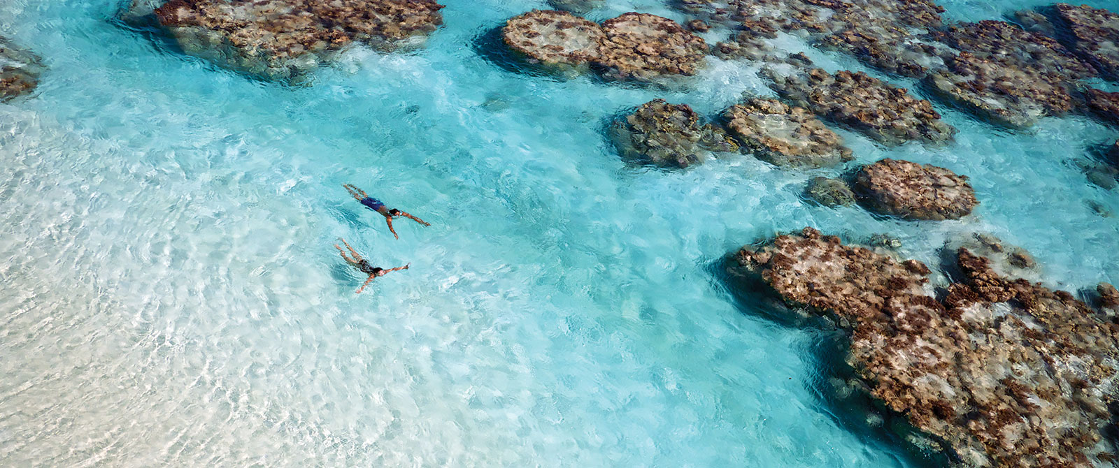 Couple Swimming in Coral Reef at The Brando Resort - Australia, New Zealand, and Tahiti