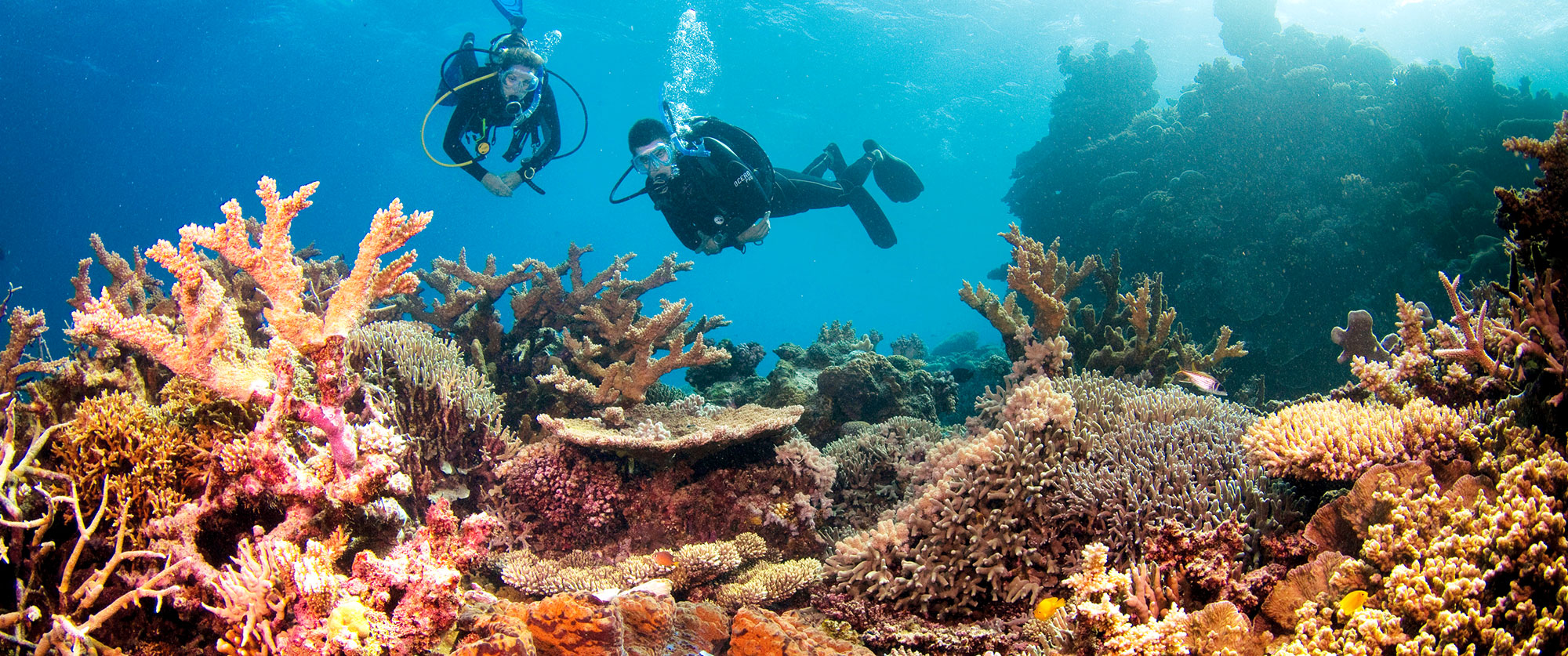 Australian Adventure Vacation: Rock and Reef