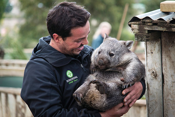 Aussie Critters and Creatures - Australian Wildlife