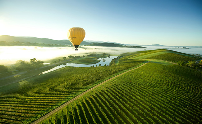 Yarra Valley Wine Tasting in Australia