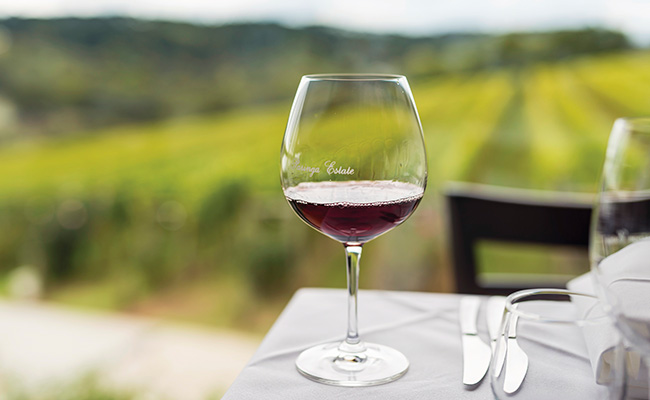 Antibiotika Skæbne pedal 9 Best Places to Go Wine Tasting in Australia - Australia's Wine Regions
