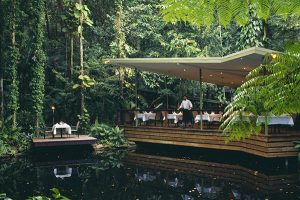 Eco Friendly Australia New Zealand - Daintree Eco Lodge