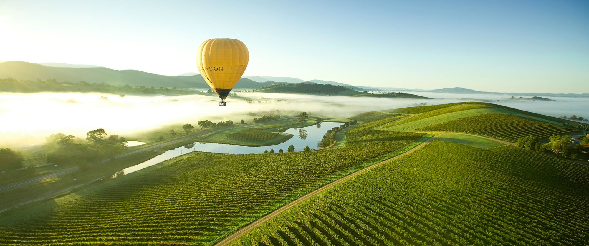 Hot air balloon over Yarra Valley, Victoria, Australia