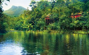 Australia Attractions - Daintree Rainforest - Silky Oaks Lodge