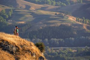 New Zealand Vacations - Hawke's Bay