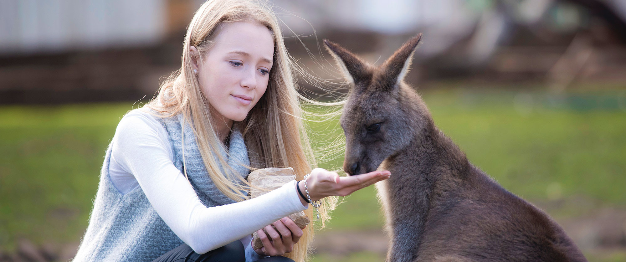 Australia Wildlife Vacations - Bonorong Wildlife Sanctuary Tasmania