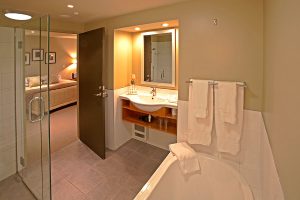 New Zealand Fox Glacier Accommodation - Distinction Hotel Fox Glacier