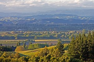 Hawke's Bay, New Zealand - Millar Road