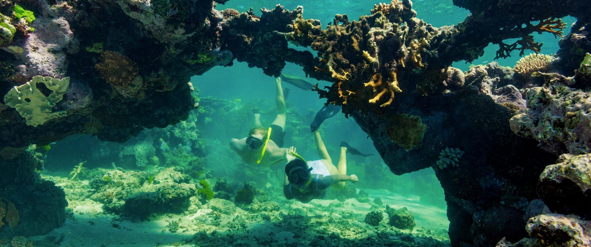 Couple snorkeling under an archway of corals in the Great Barrier Reef