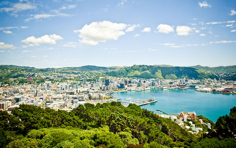 Beautiful views from Mt Victoria