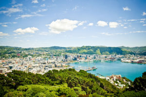 Beautiful views from Mt Victoria