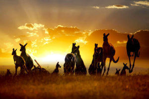 Down Under Endeavours - Luxury Travel Agency - Careers in Travel