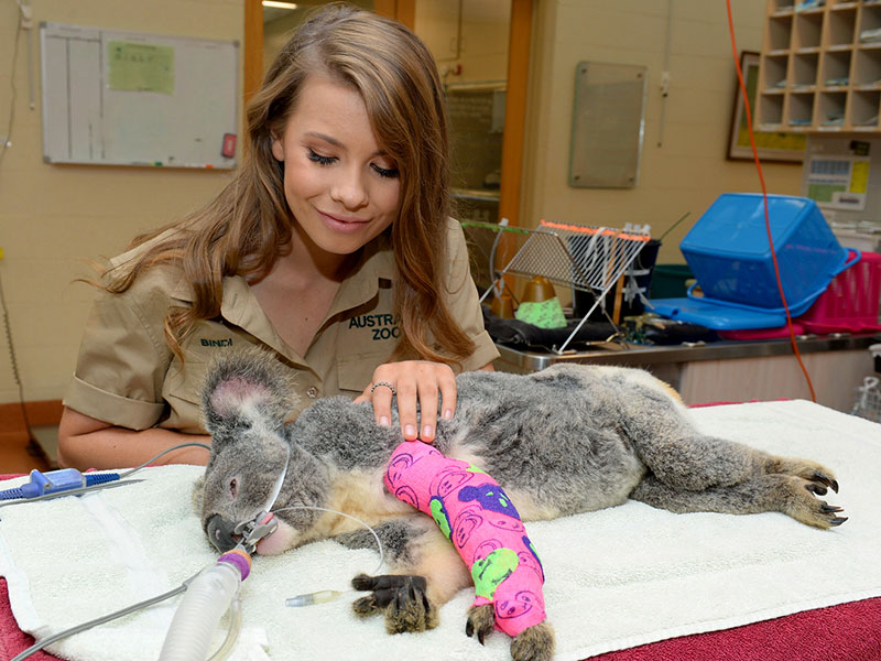 Animal Encounters at Australia Zoo - Get Up Close With Our Amazing Wildlife