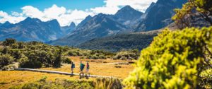 Luxury New Zealand Travel Agency