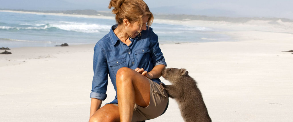 Wombat on the Beach in Bay of Fires, Tasmania