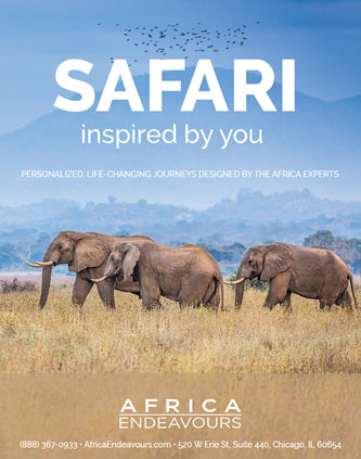 Africa Brochure