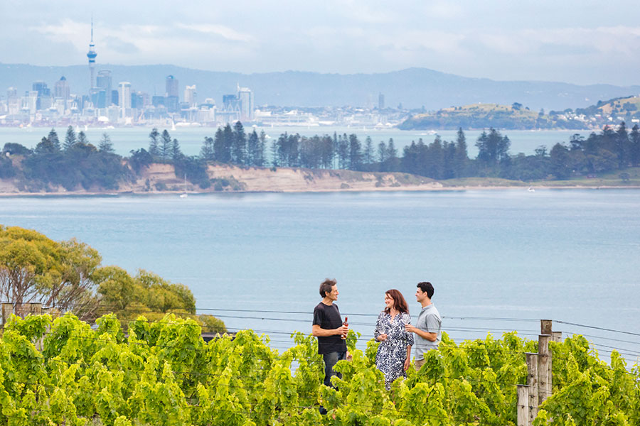 Wine Tasting on Waiheke Island