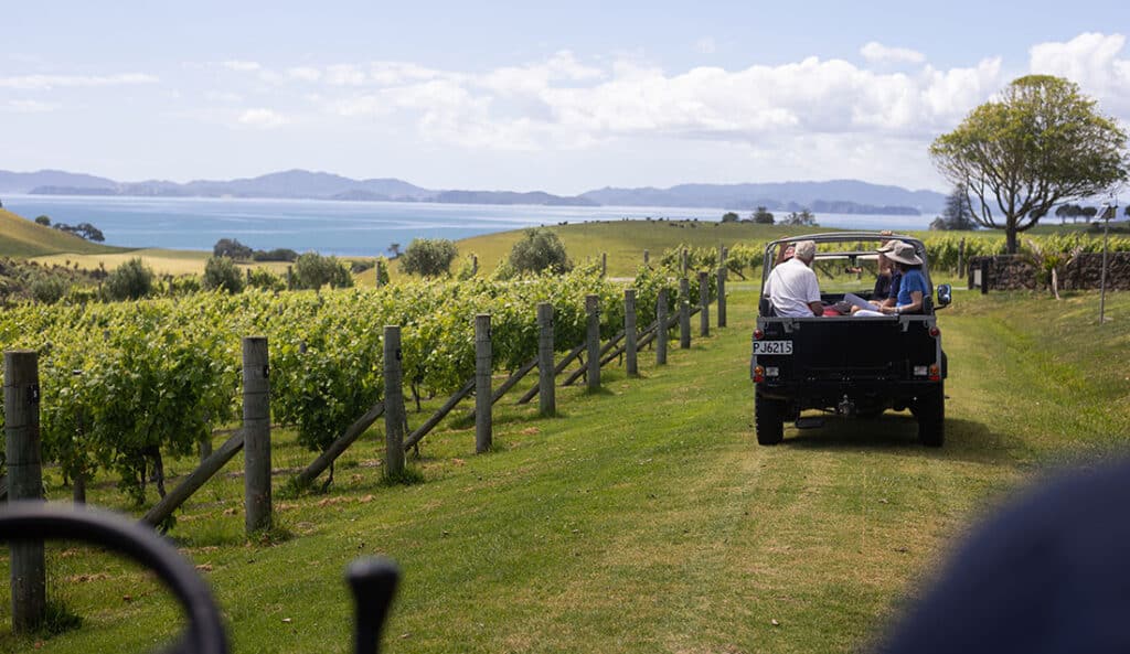 Exploring the vineyards at The Landing, Bay of Islands