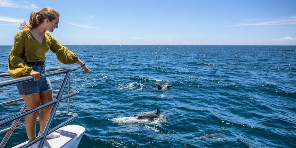 Woman at the prow of a sailboat, pointing at dolphins swimming alongside